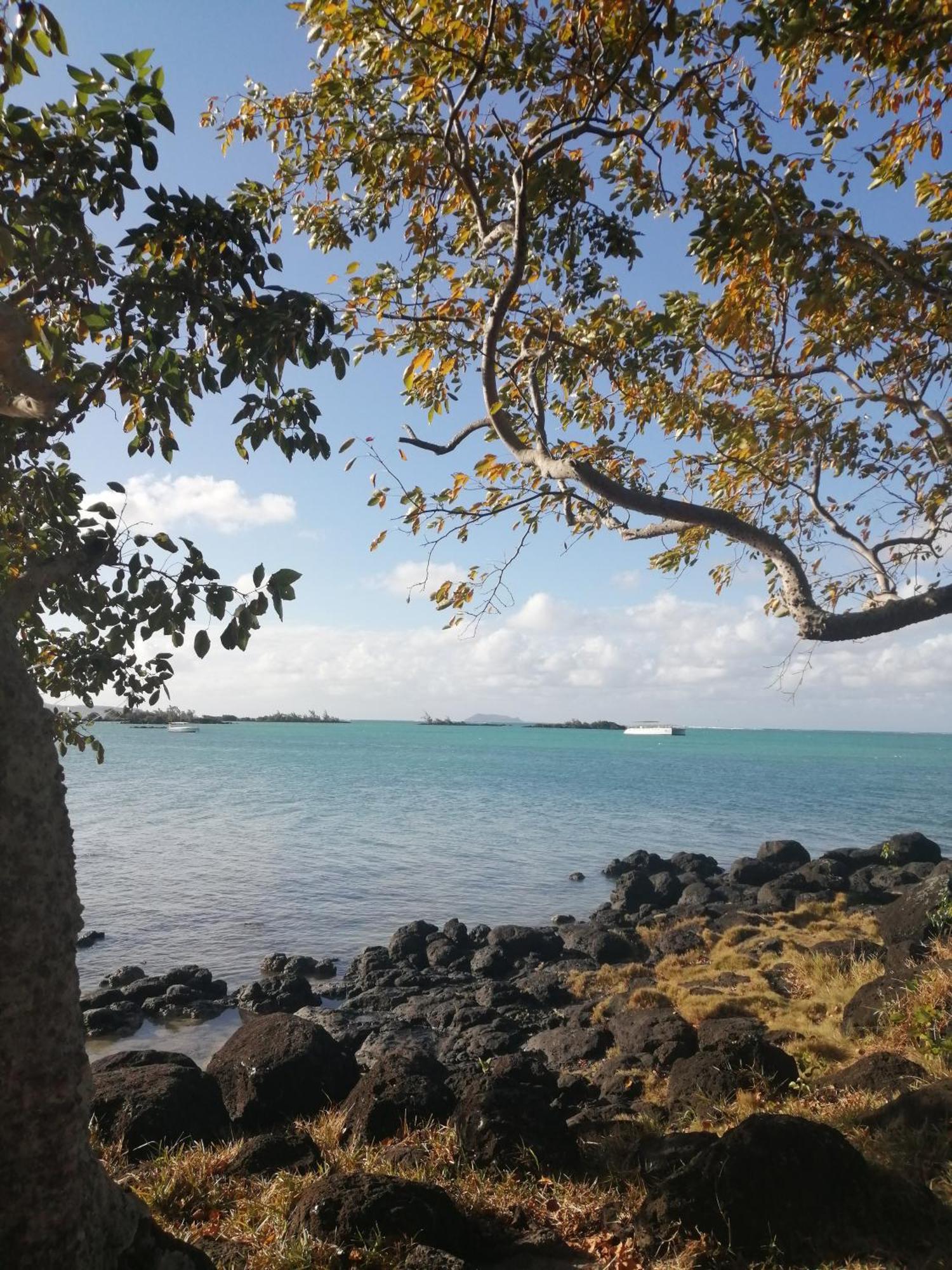 Résidence Les Filaos Pereybere Beach Extérieur photo